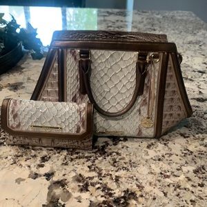 Brahmin bag and matching wallet